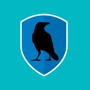 RiseupVPN : un VPN gratuit engagé pour la liberté numérique